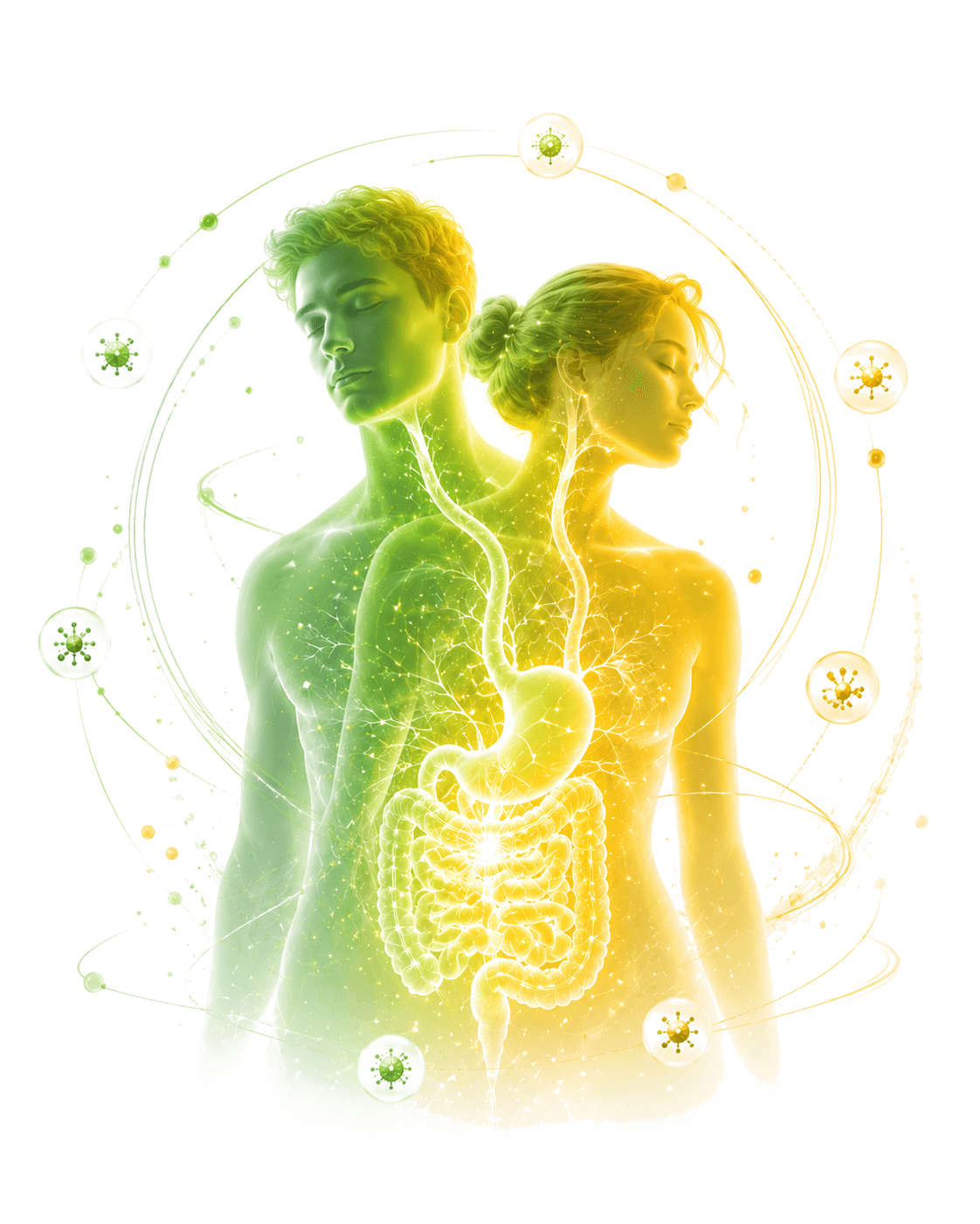 The food system inside you — two figures with a glowing digestive system