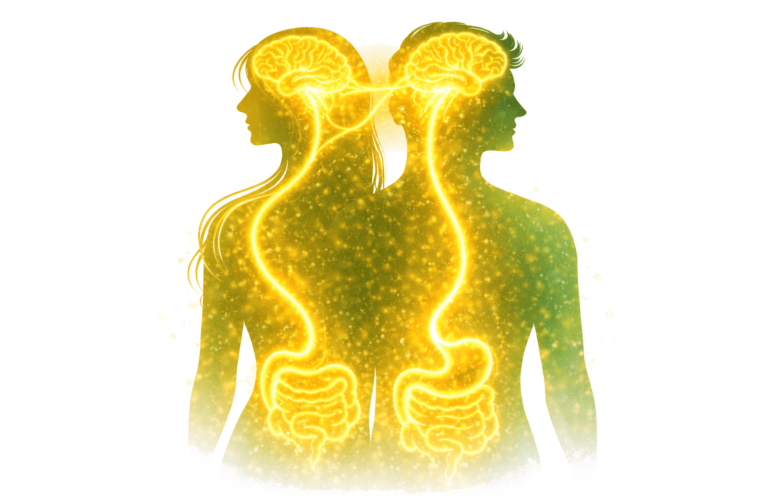 The Mind Food System illustration