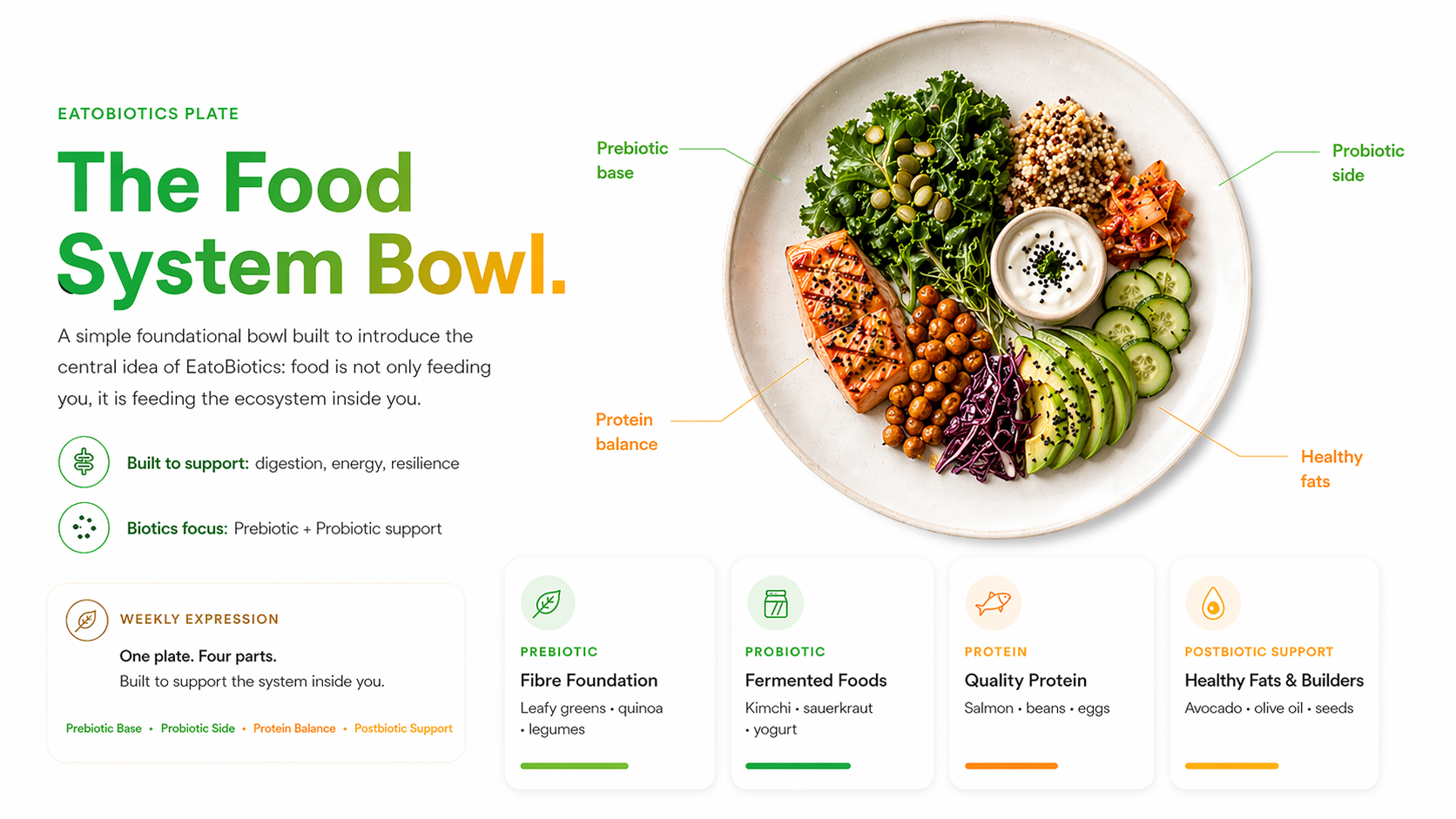 The Food System Bowl — illustrated plate breakdown