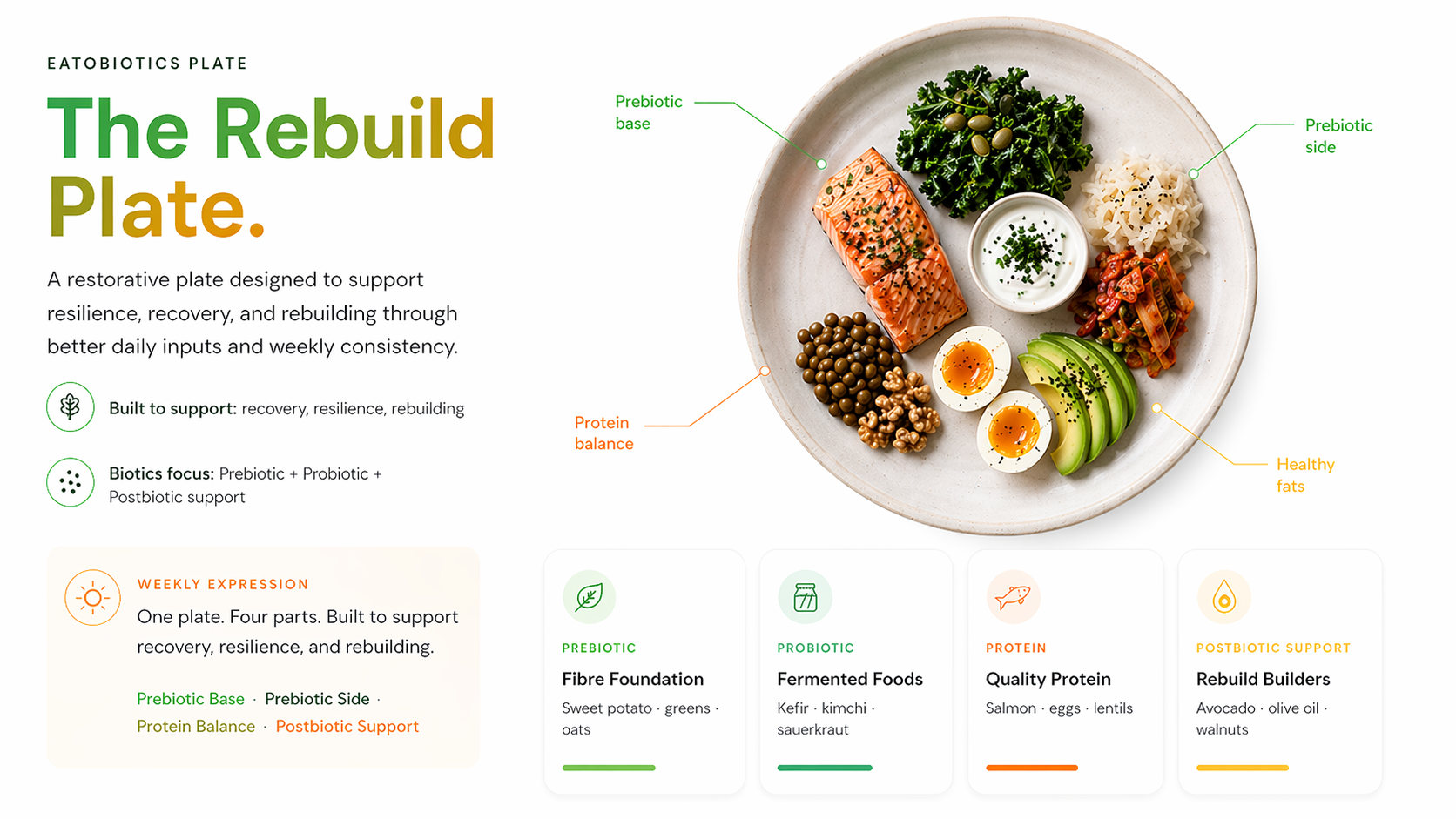 The Rebuild Plate — illustrated plate breakdown